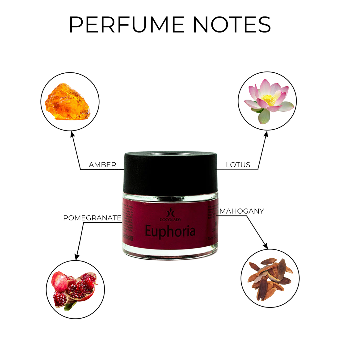 COCOLADY EUPHORIA UNIQUE PERFUME DIFFUSER 2.5 oz
