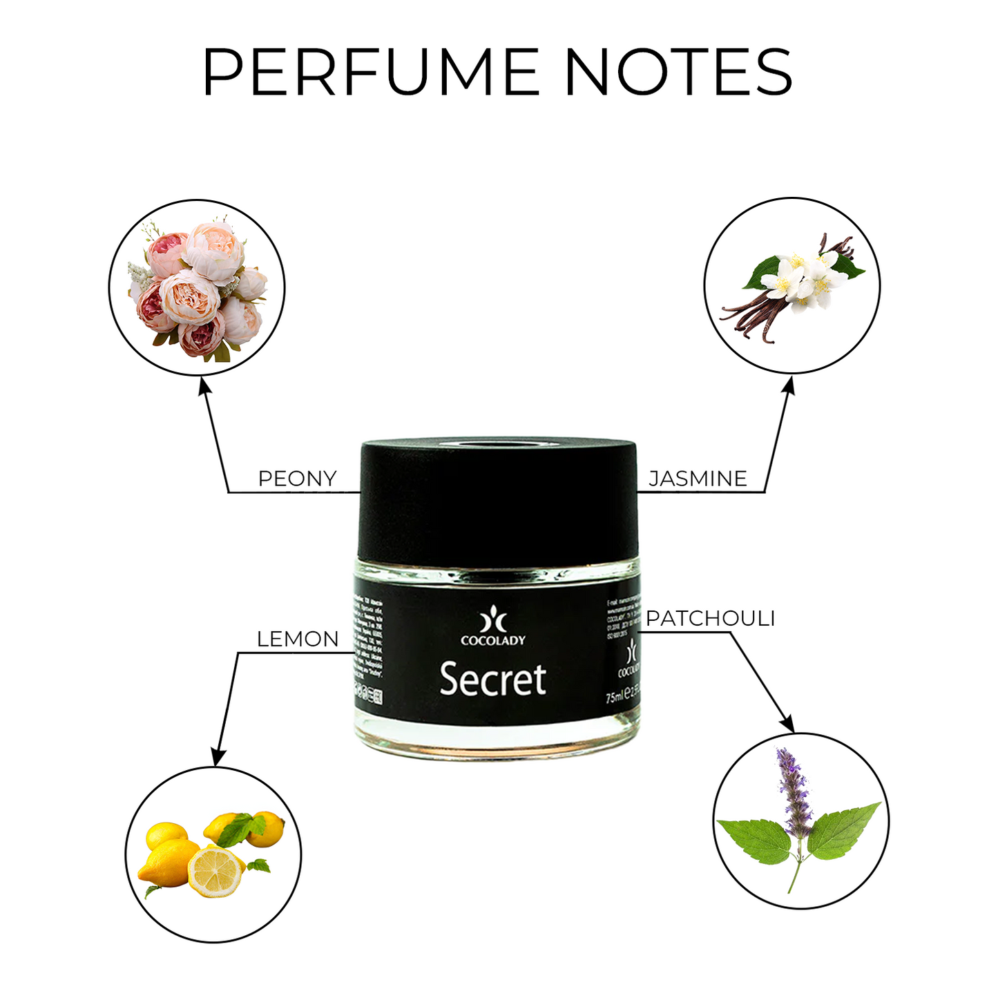COCOLADY SECRET UNIQUE PERFUME DIFFUSER 2.5 oz