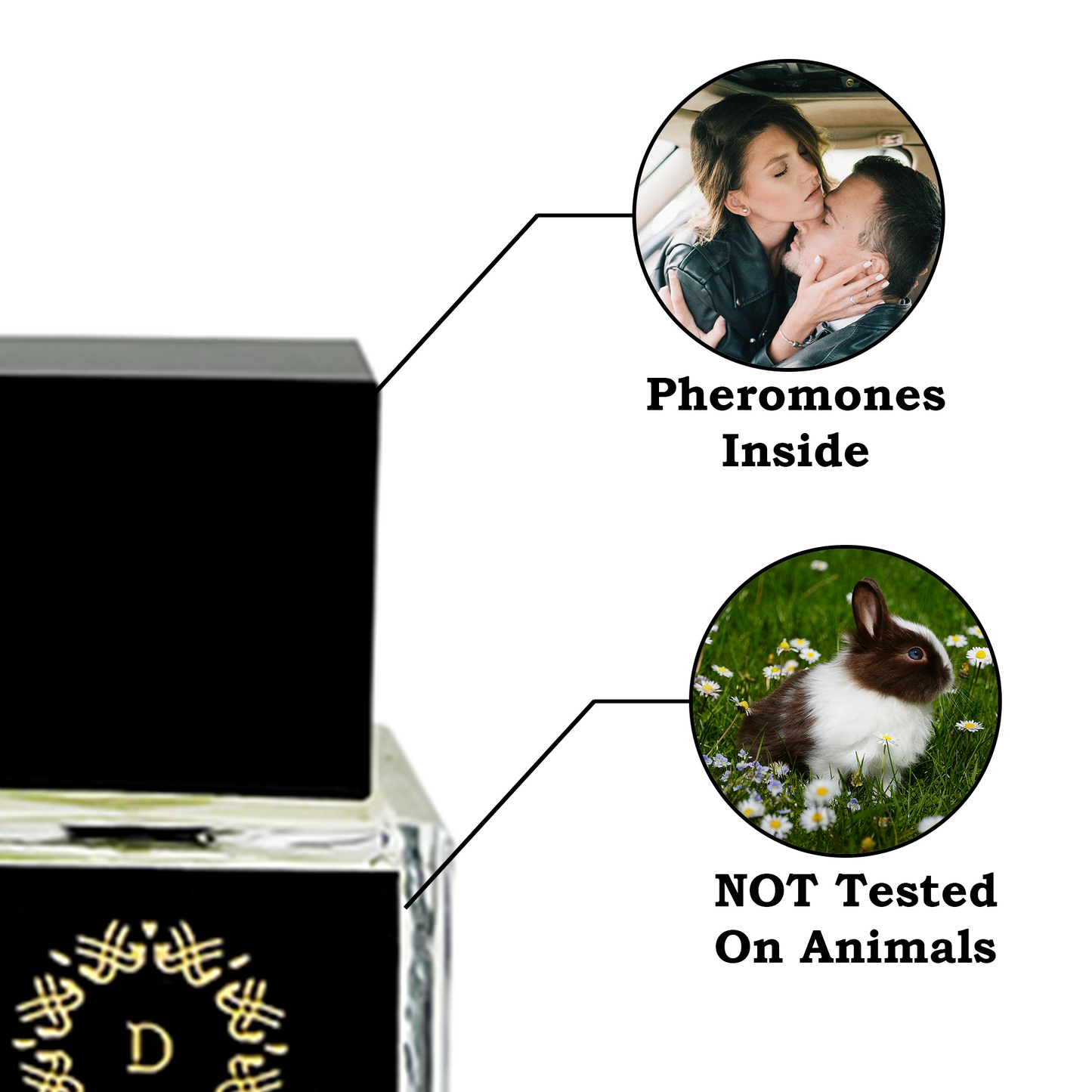 DASPAR SPORT CHARM FOR MEN PERFUME WITH PHEROMONES 2.02 OZ