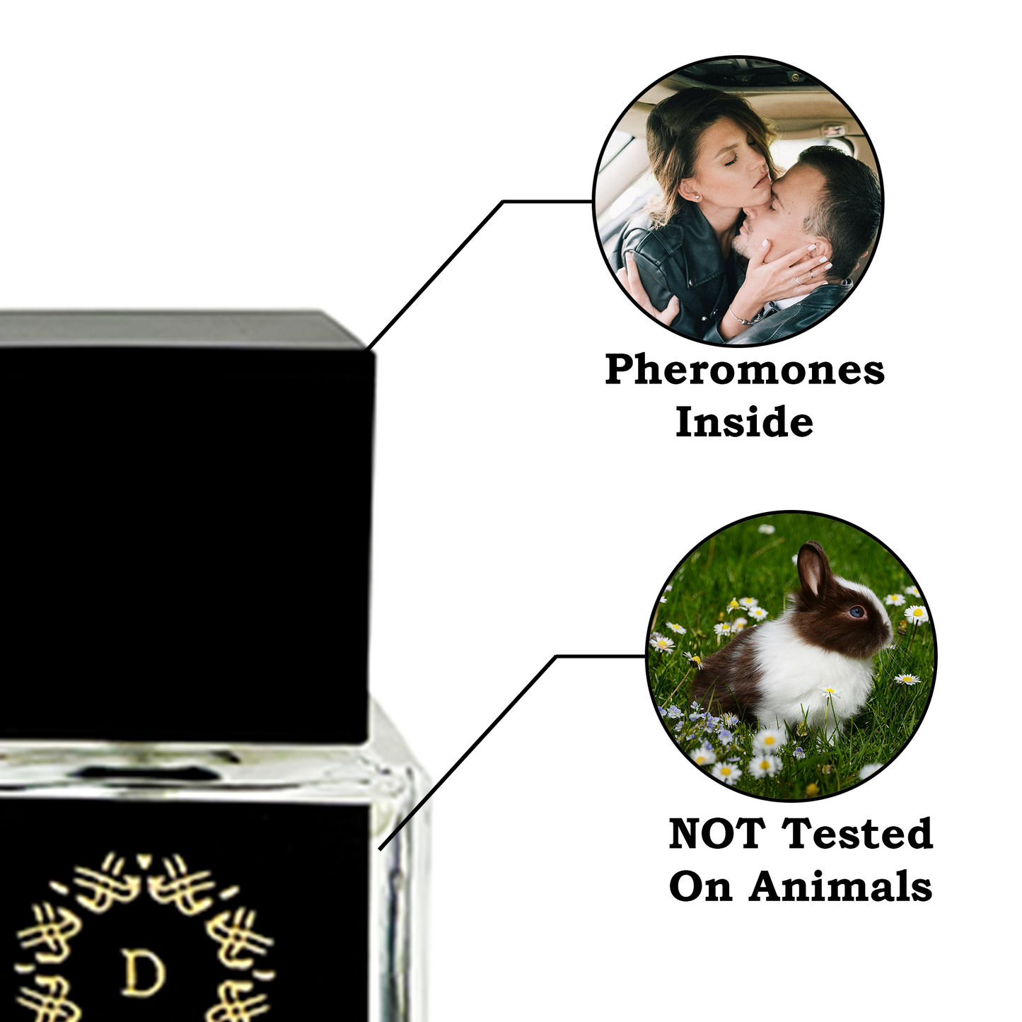 DASPAR WILDMAN FOR MEN PERFUME WITH PHEROMONES 2.02 OZ