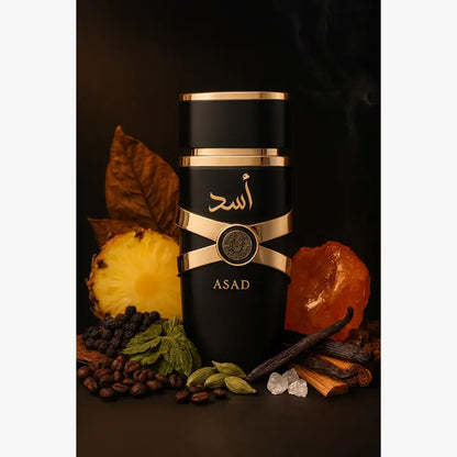 Lattafa Asad Man 3.4 oz EDP for Men – Amber Spicy